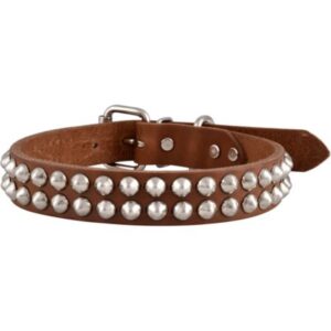 Leather Studded Dog Collar 19x1 inch