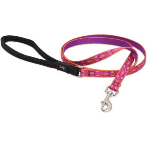 Lupine Alpen Glow .5 inch Dog Leash 6 ft