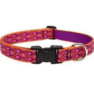 Lupine Alpen Glow 1" Collar 12"-20"