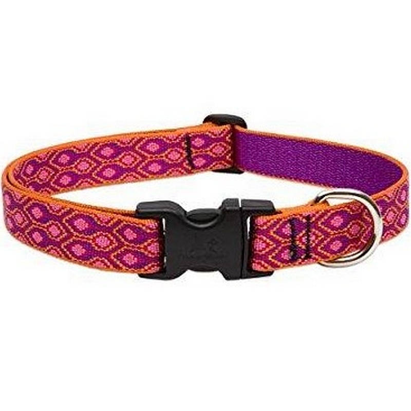 Lupine Alpen Glow 1" Collar 16"-28"