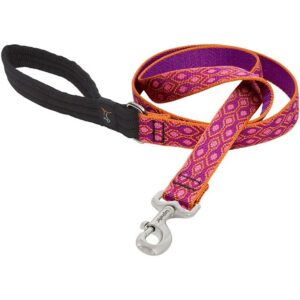 Lupine Alpen Glow Leash 6'