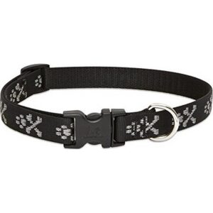 Lupine Bling Bonz Dog Collar 13"-22"