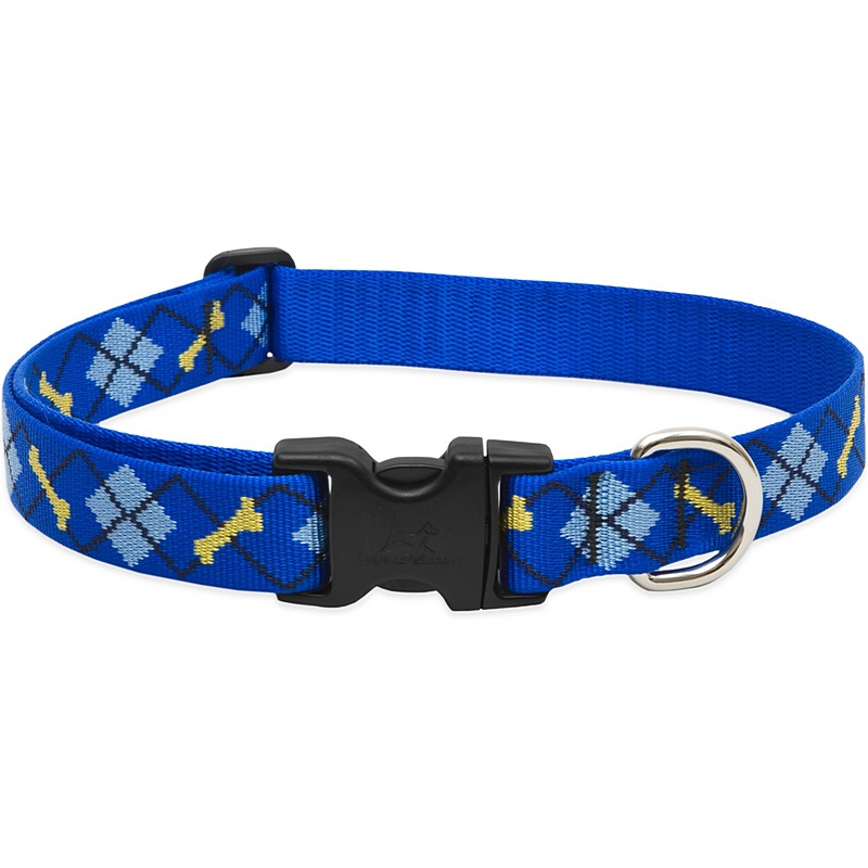 Lupine Dapper Dog Collar 12”-20”