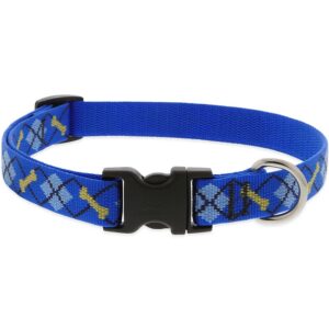 Lupine Dapper Dog Collar 13"-22"