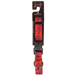 Lupine GoGoGecko Dog Collar 9"-14”
