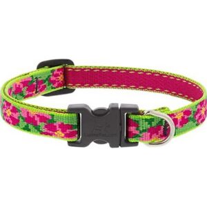 Lupine Petunias Dog Collar 10"-16"
