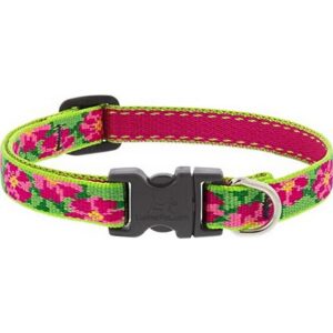 Lupine Petunias Dog Collar 13"-22"