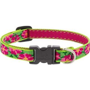 Lupine Petunias Dog Collar 8"-12"