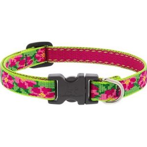 Lupine Petunias Dog Collar 9"-14"