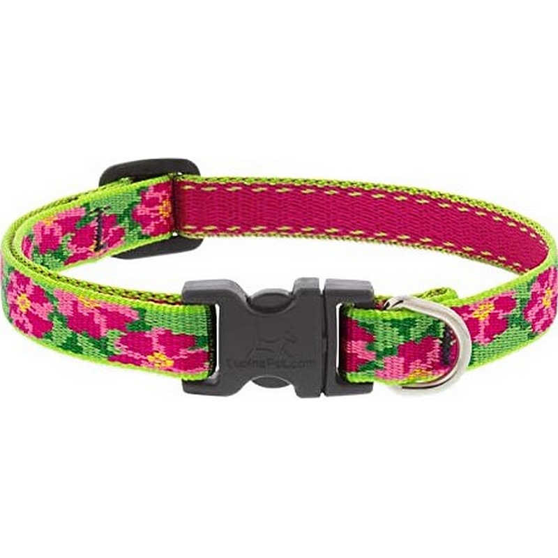 Lupine Petunias Dog Collar 9"-14"