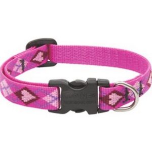 Lupine Puppy Love Dog Collar 10"-16”