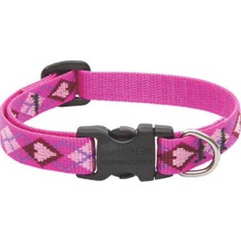 Lupine Puppy Love Dog Collar 10"-16”