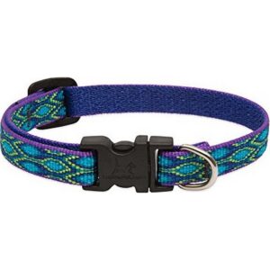 Lupine Rain Song Dog Collar 10"-16”