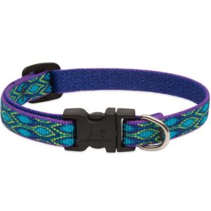Lupine Rain Song Dog Collar 12"-20”