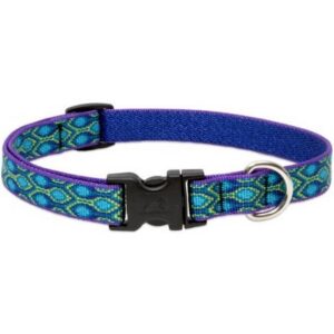 Lupine Rain Song Dog Collar 13"-22"