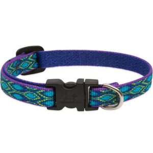 Lupine Rain Song Dog Collar 16"-28"