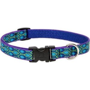 Lupine Rain Song Dog Collar 9"-14"