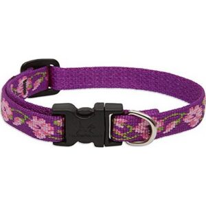 Lupine Rose Garden Dog Collar 10"-16"