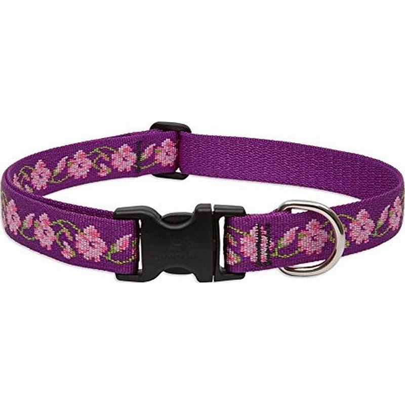Lupine Rose Garden Dog Collar 12"-20"