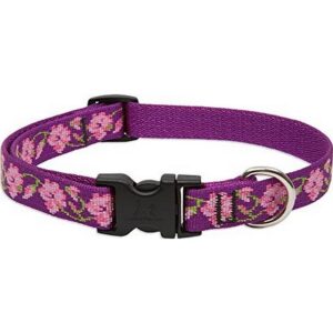 Lupine Rose Garden Dog Collar 13"-22"