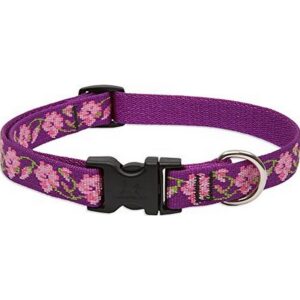 Lupine Rose Garden Dog Collar 8"-12"