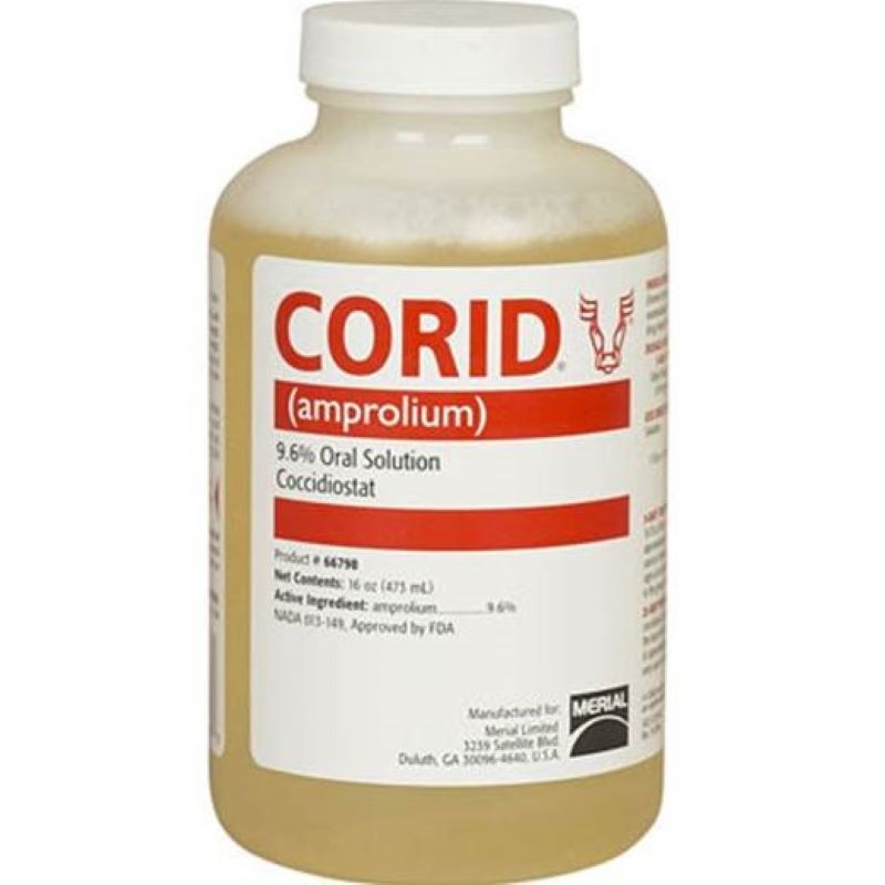 Corid 9.6% Solution for Cattle 16 oz