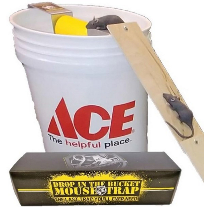 Drop In The Bucket Multiple Catch Animal Trap For Mice Voles Ground Squirrels Rats