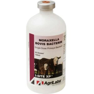 I Site XP Pinkeye 100 ml for Cattle