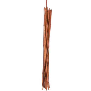 Panacea Brown Bamboo Plant Stake 72”