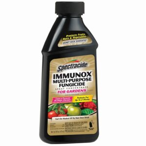 Spectracide Immunox Concentrated Liquid Garden Fungicide 16 oz