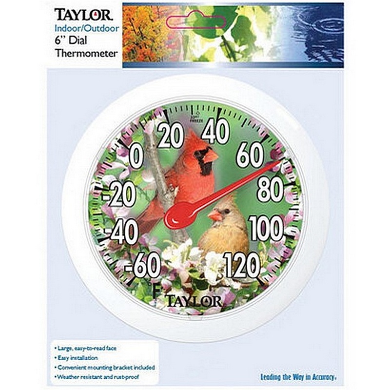 Taylor Bird Design Plastic Dial Thermometer 6”