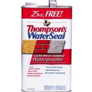 Thompsons Water Seal Clear Multi Surface Waterproofer 1.2 gal