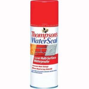 Thompsons Water Seal Clear Multi Surface Waterproofer Spray 12 oz