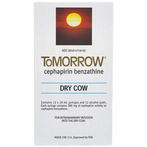 Tomorrow Mastitis Syringe 10 ml for Cows