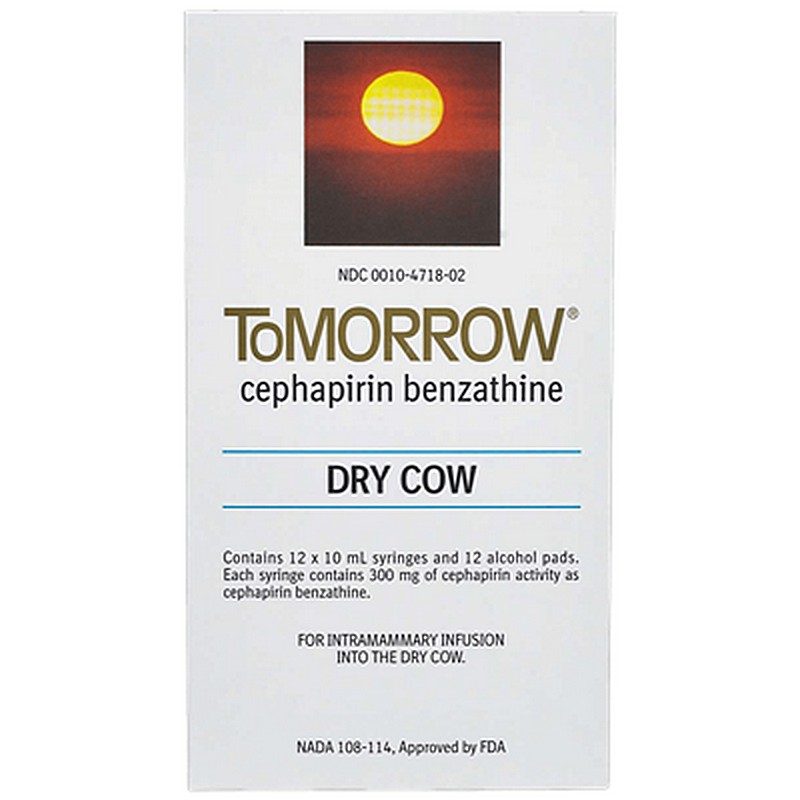 Tomorrow Mastitis Syringe 10 ml for Cows