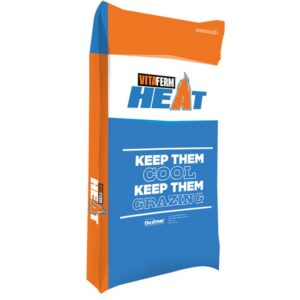 VitaFerm Heat