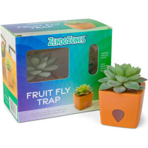 ZendoZones Succulent Fruit Fly Trap 1 pk