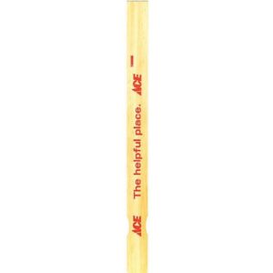 Ace Paint Paddle 14 inch