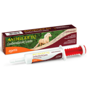 Anthelcide Equine Paste 24g