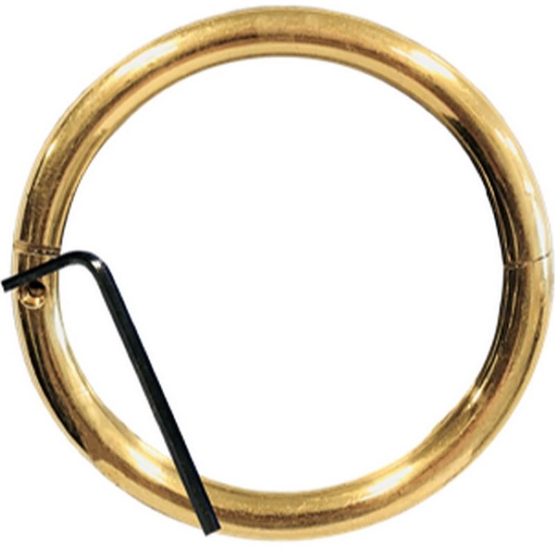 Brass Bull Ring 3.5x3/8