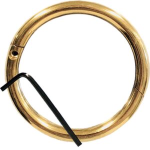 Brass Bull Ring 3x5/16