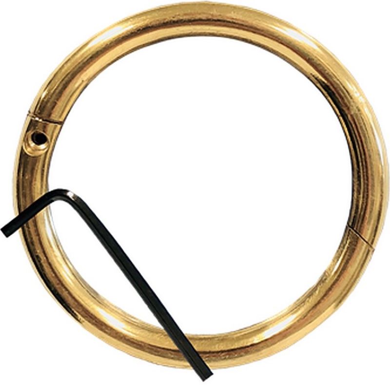 Brass Bull Ring 3x5/16