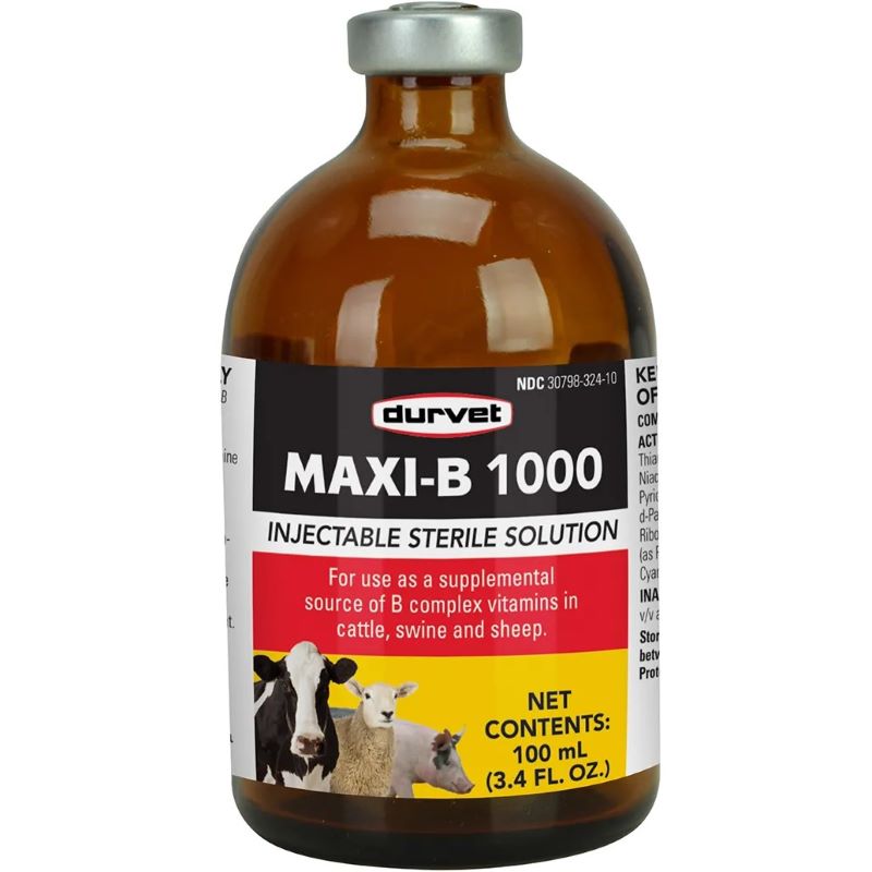 Durvet Maxi-B 1000 Cattle & Swine Injectable 100 ml
