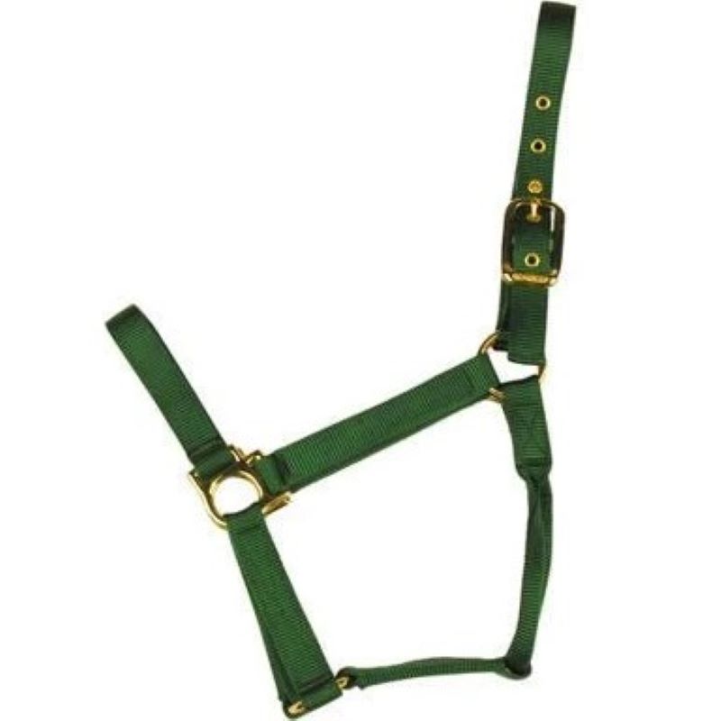 Econ Horse Halter Colt Green 2 30Q