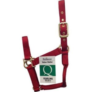 Econo Halter Adult Red 8-11Q