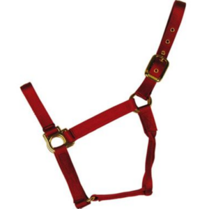 Econo Halter Colt Red 2-30Q