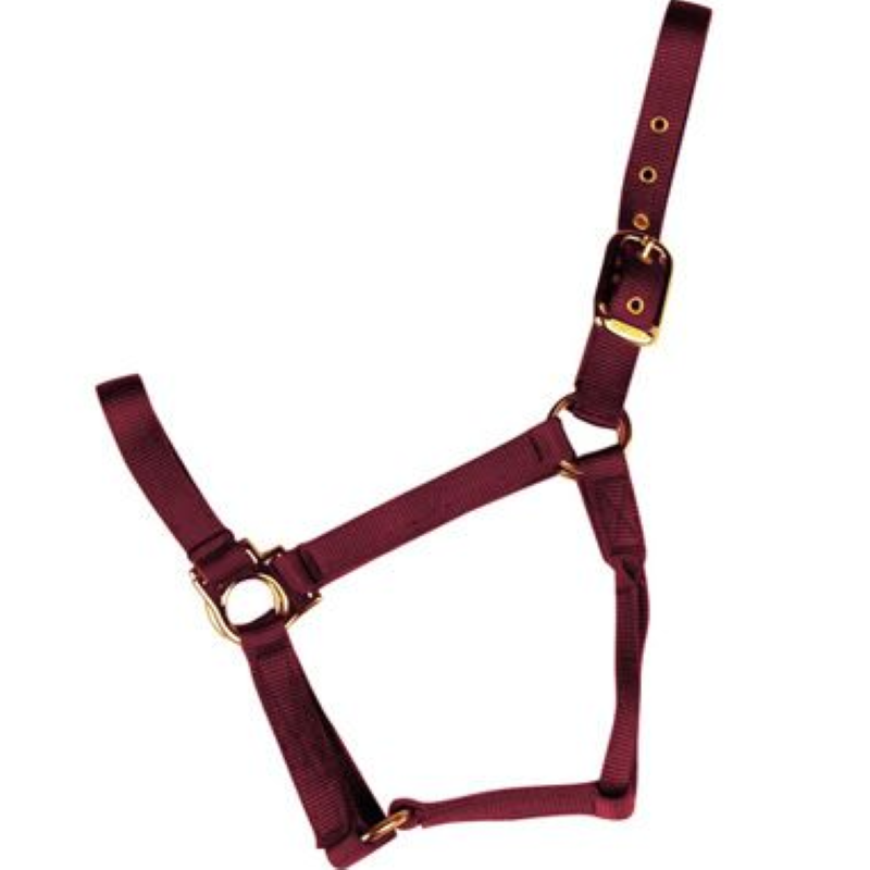 Econo Halter Large Burgundy 11-15Q