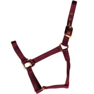 Econo Halter Pony Burgundy 1-20Q