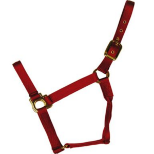 Econo Halter Pony Red 1-20Q