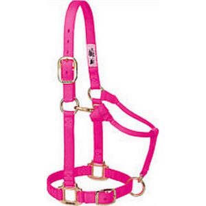 Econo Horse Halter Adult Hot Pink 8 11Q